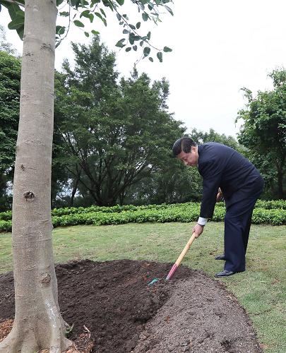 2012年12月7日至11日，習近平在廣東省考察工作。這是8日上午，習近平在深圳蓮花山公園種下一棵高山榕樹。新華社記者 蘭紅光 攝